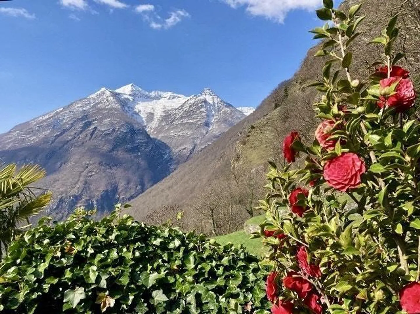 Rustico di 4 stanze con giardino in una posizione molto tranquilla e soleggiata... - Foto 27 di 34