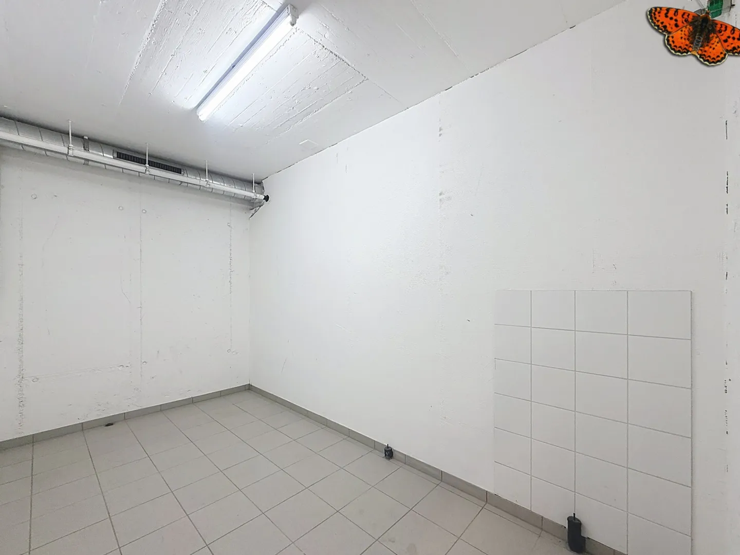 Dépôt - Cormanon - Photo 2 sur 6