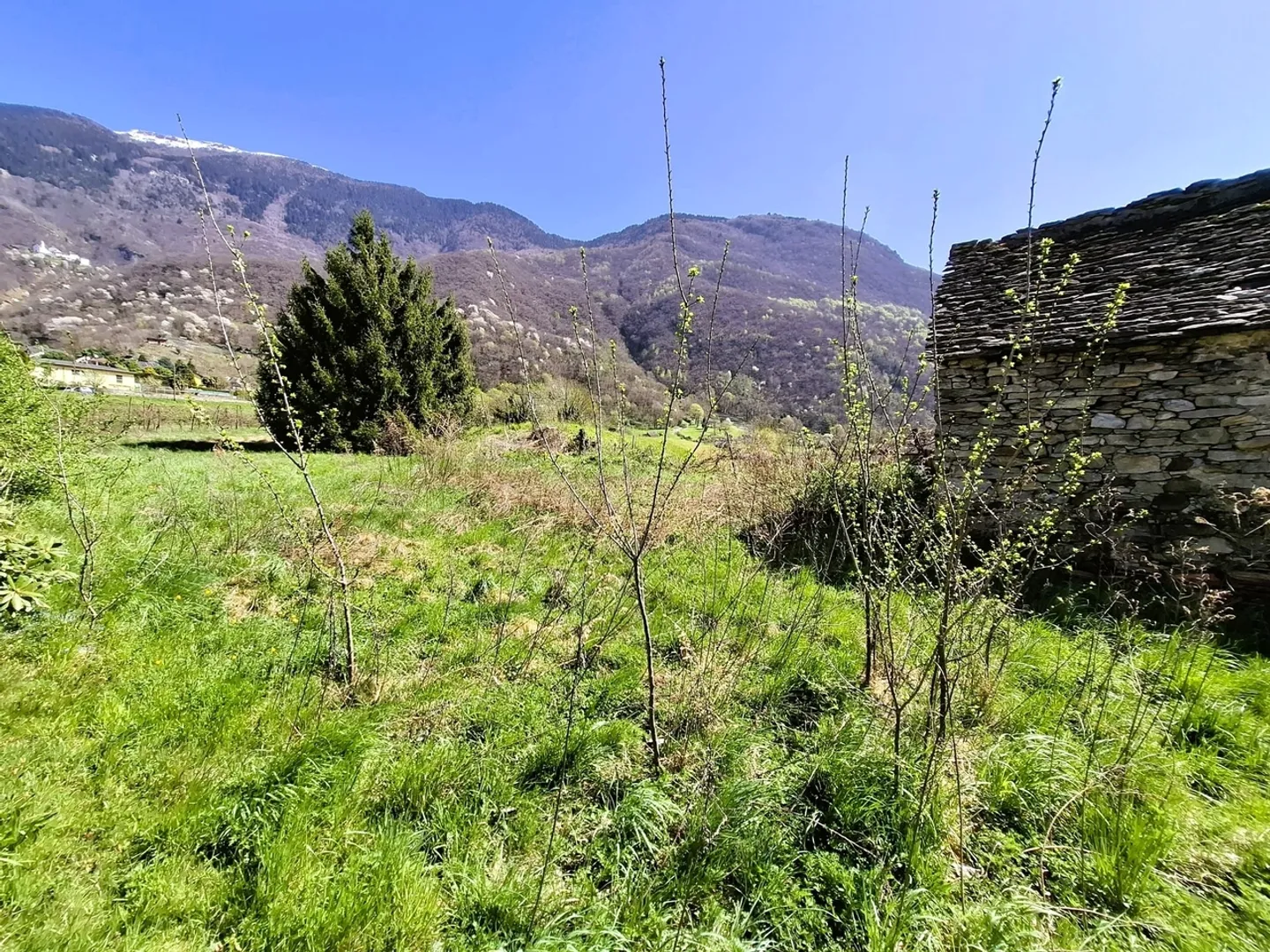Terrain constructible avec potentiel à Claro, TI - 650 m2 - Photo 2 sur 7