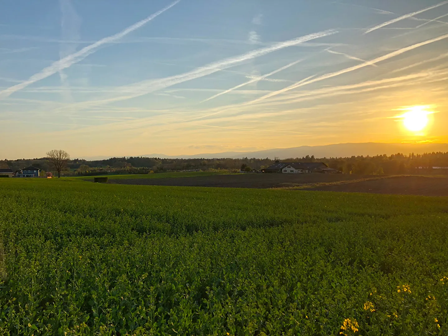 Duplex 5.5 pièces - Photo 2 sur 4