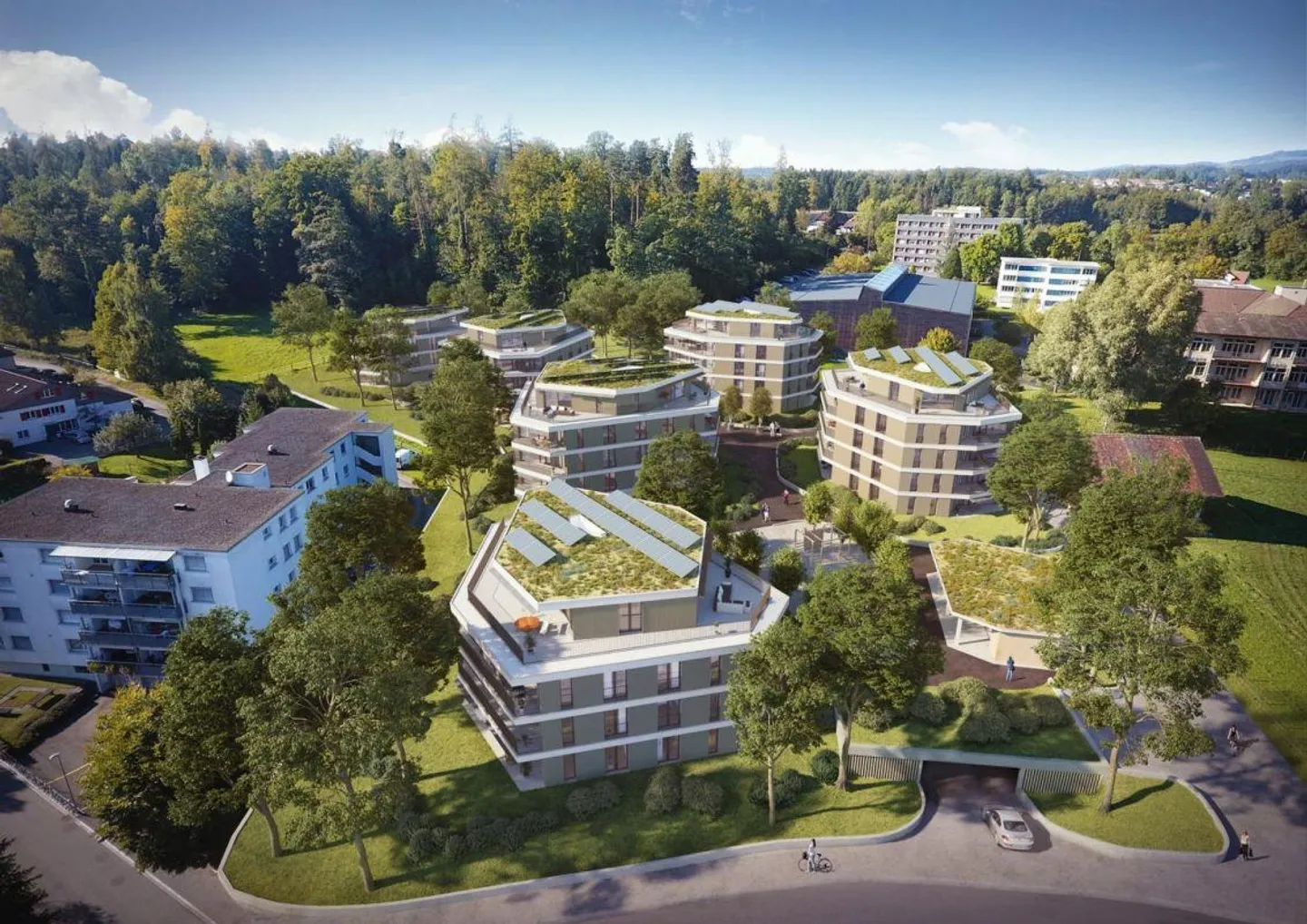 Le Rütiwald à votre porte! - Photo 1 sur 11