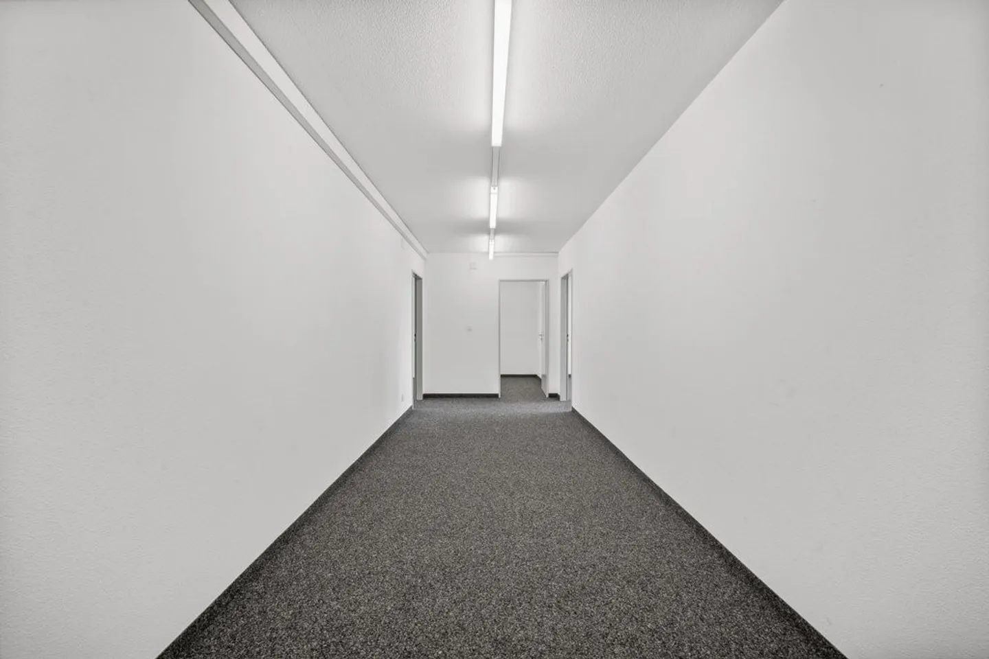 Beautiful office spaces in Birsfelden! - Photo 3 of 7
