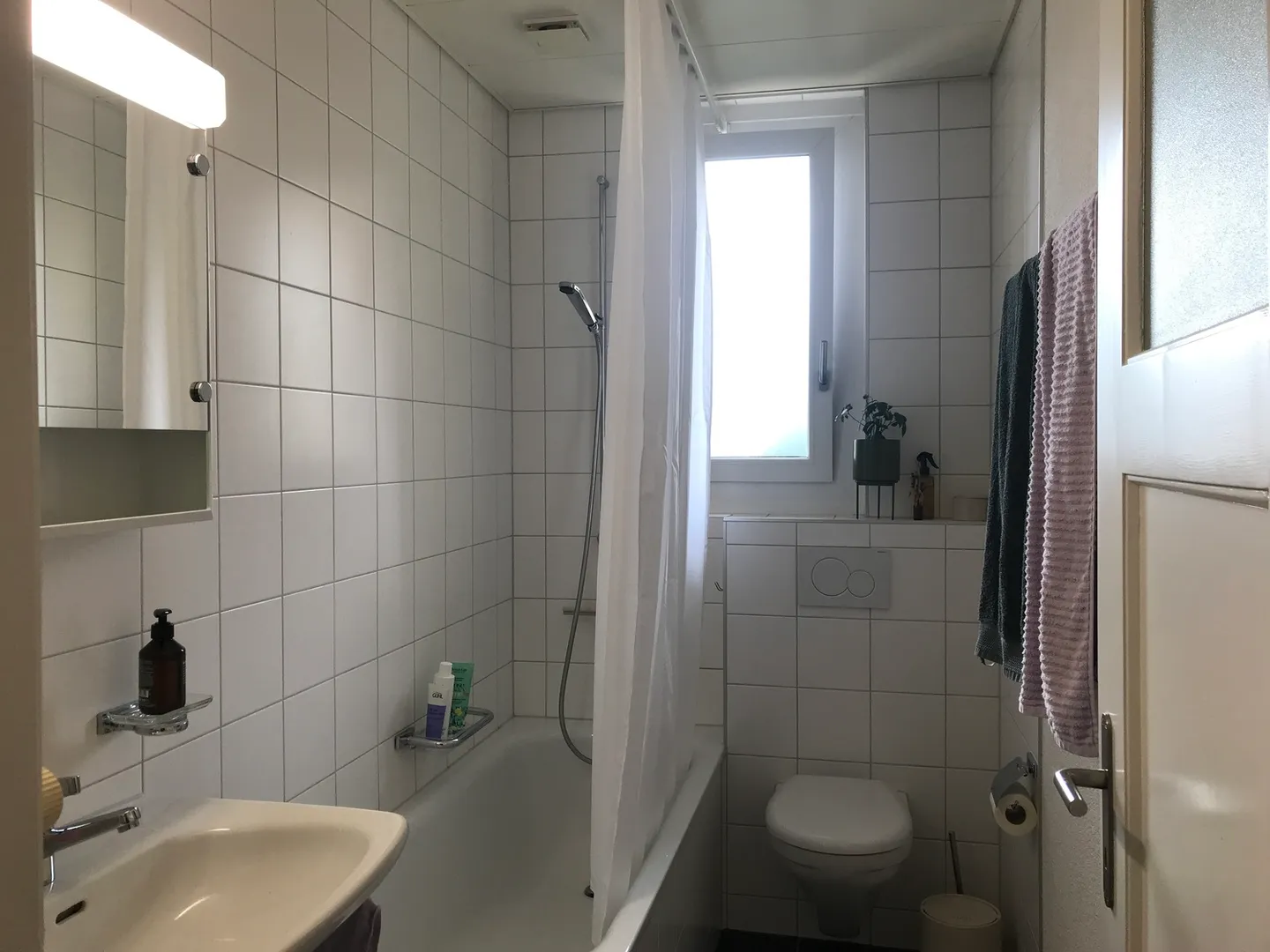 APPARTAMENTO 2½ STANZE A BERN - BREITENRAIN, ARREDATO, TEMPORANEO - Foto 7 di 9