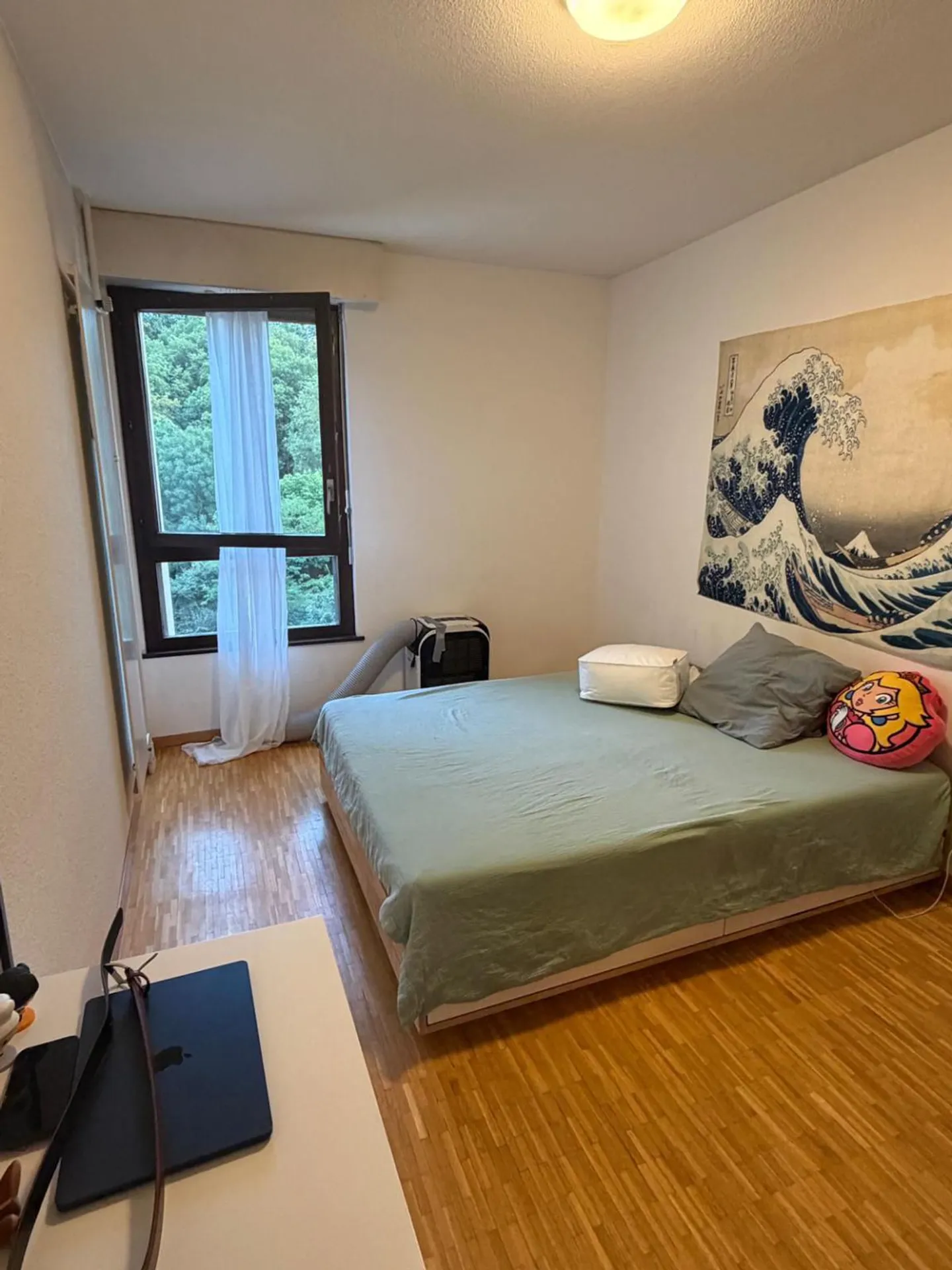 ESCLUSIVITÀ - Appartamento di 4 stanze situato nel quartiere di Carouge. - Foto 4 di 8