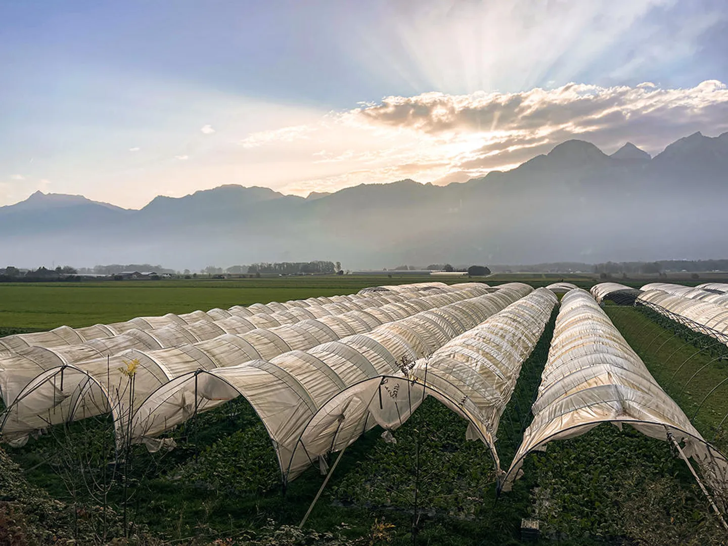 2.5-room apartment - Photo 3 of 3