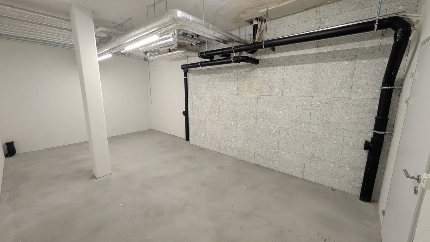 Magazzino di 24,8 m2 a Winterthur - Sulzerallee 73 - Foto 5 di 11