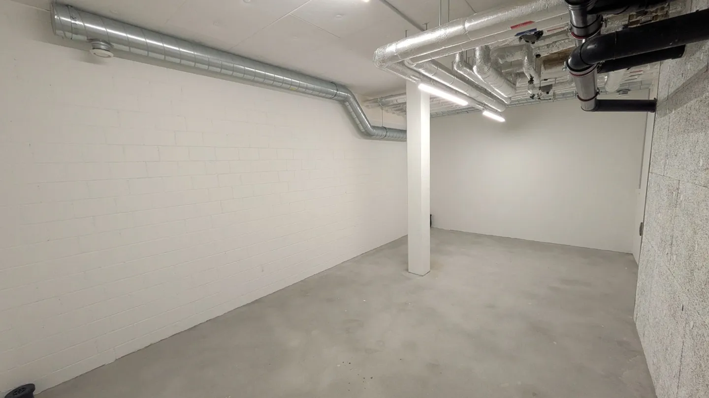 Magazzino di 24,8 m2 a Winterthur - Sulzerallee 73 - Foto 6 di 11