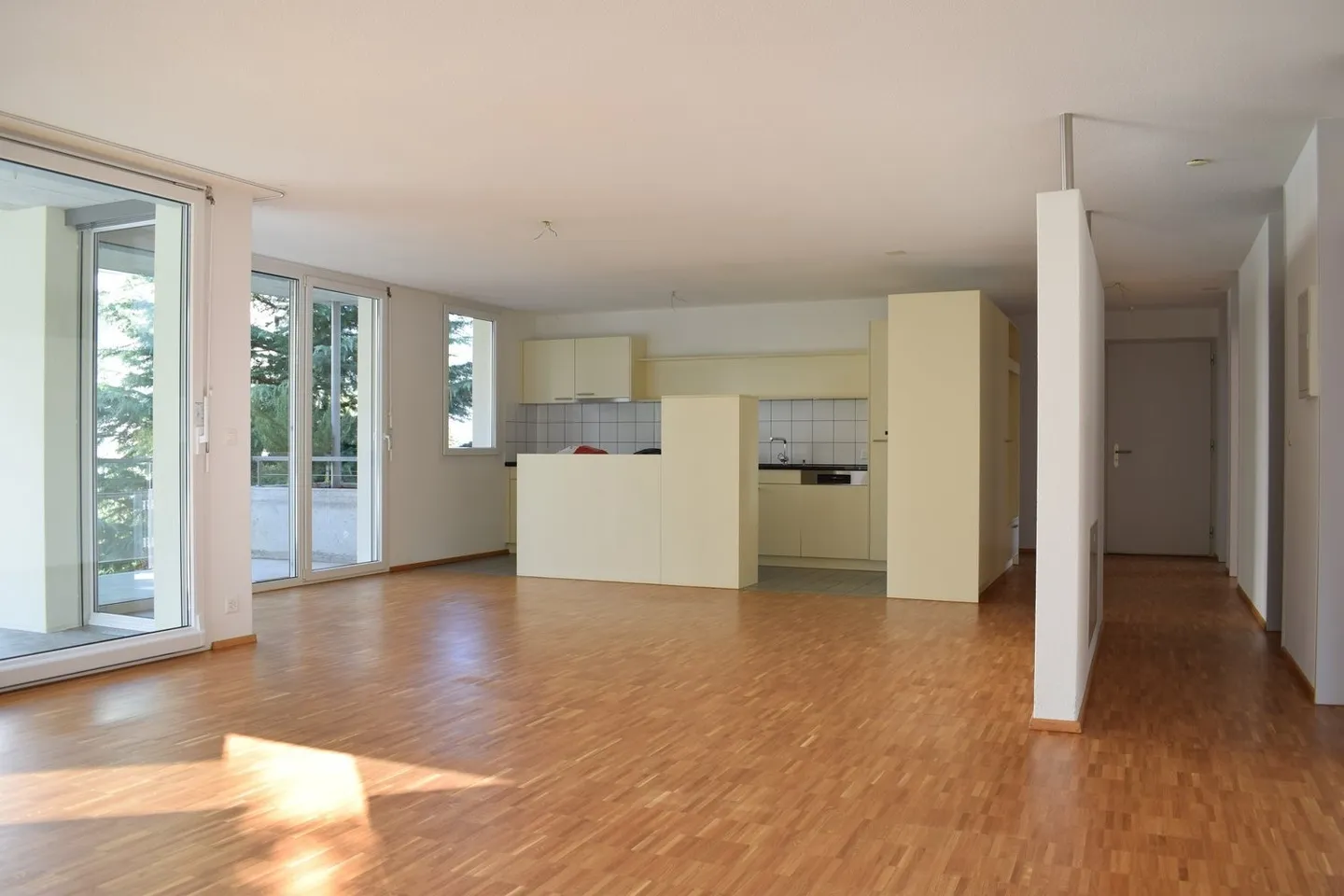 Ampio appartamento di 5,5 locali in una posizione tranquilla - Foto 3 di 11