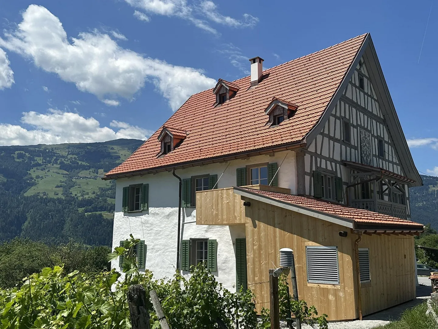 Appartamento 3 ½ locali a Domleschg in una casa bifamiliare vincolata - Foto 3 di 6