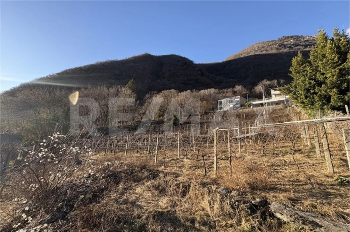 «2.5 Room apartment» - Photo 10 sur 13