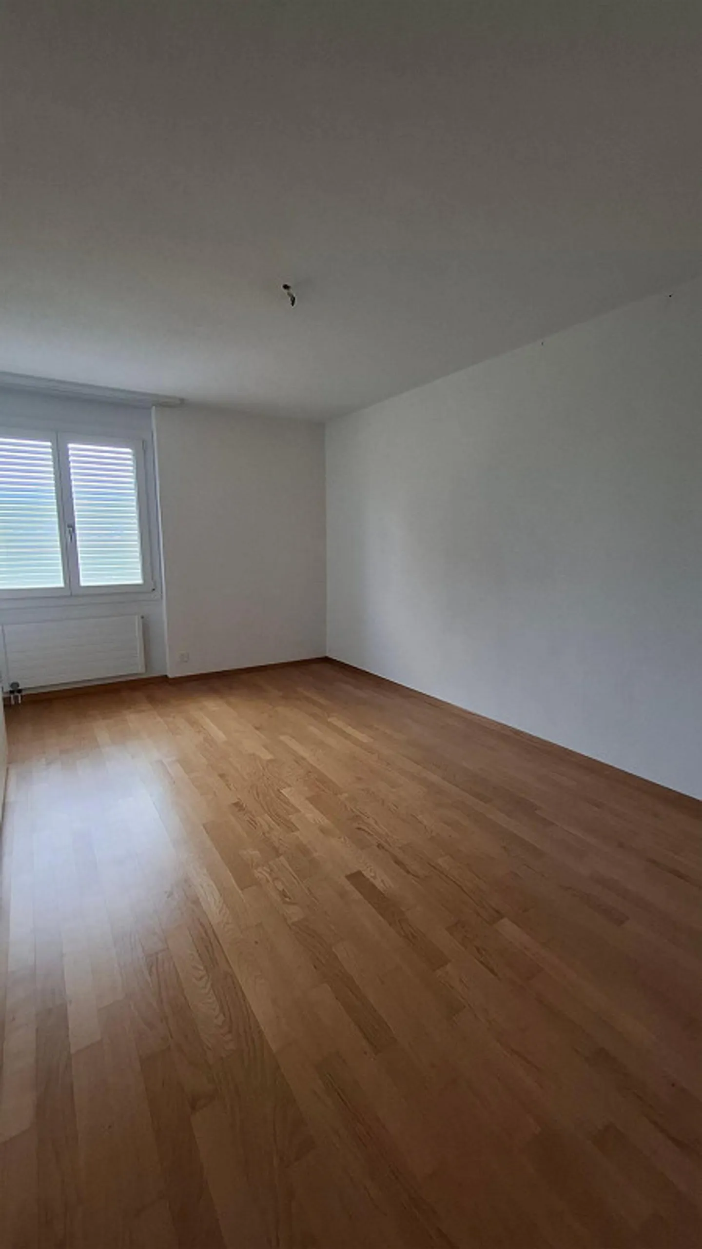 Spacious 4½-room apartment finely renovated; unbeatable view in a green neighborhood - Photo 6 of 9