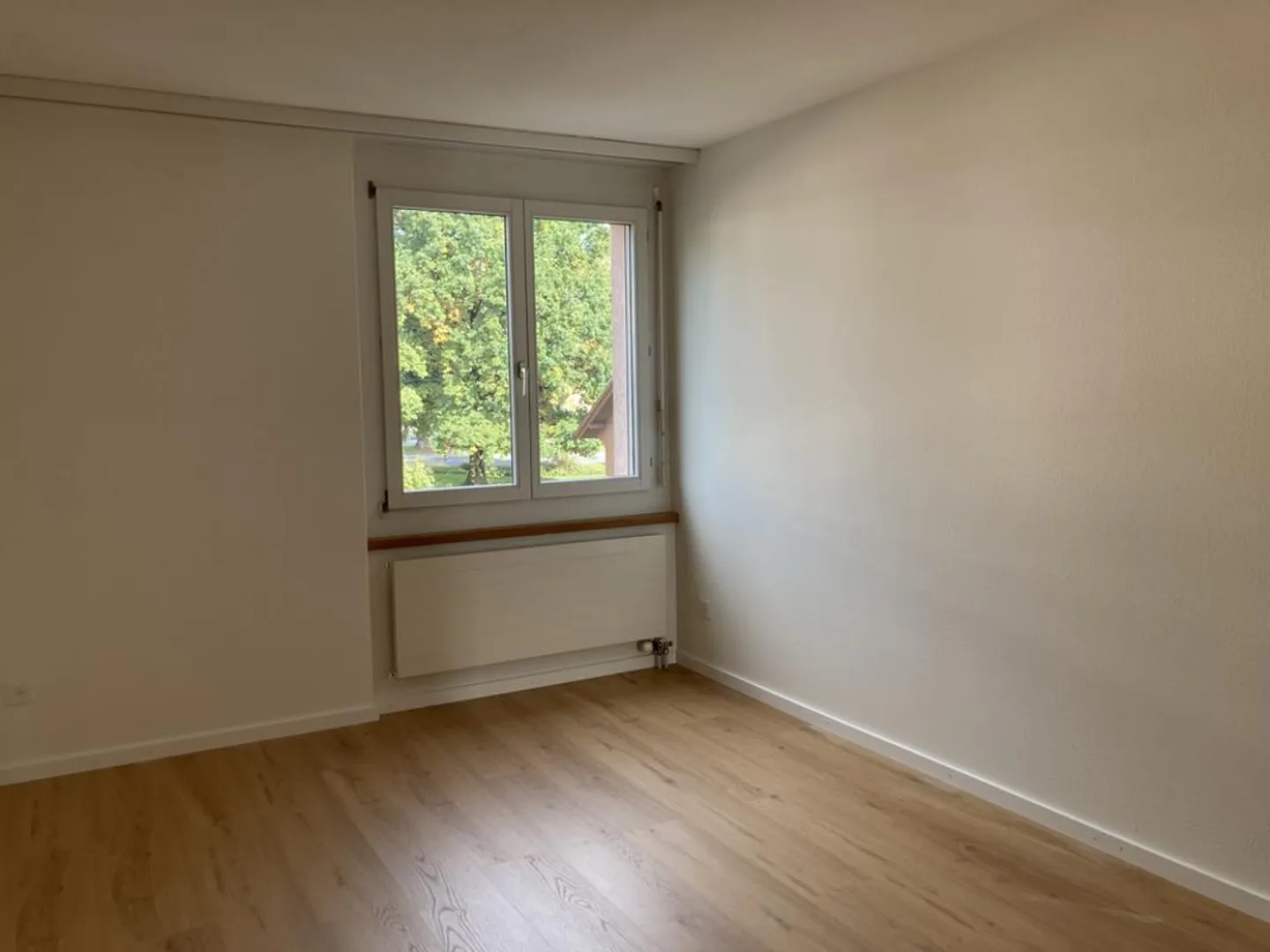 Newly renovated apartment in a central location - Photo 6 of 9