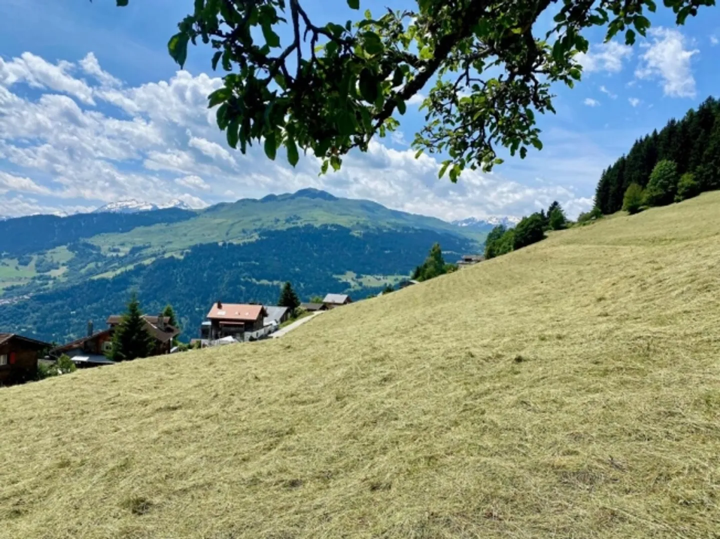 NUOVA COSTRUZIONE Casa MAISSEN 5.5 stanze "Casas Ual" (PRIMA Residenza) in una posizione residenziale idilliaca a Ladir - Foto 1 di 12