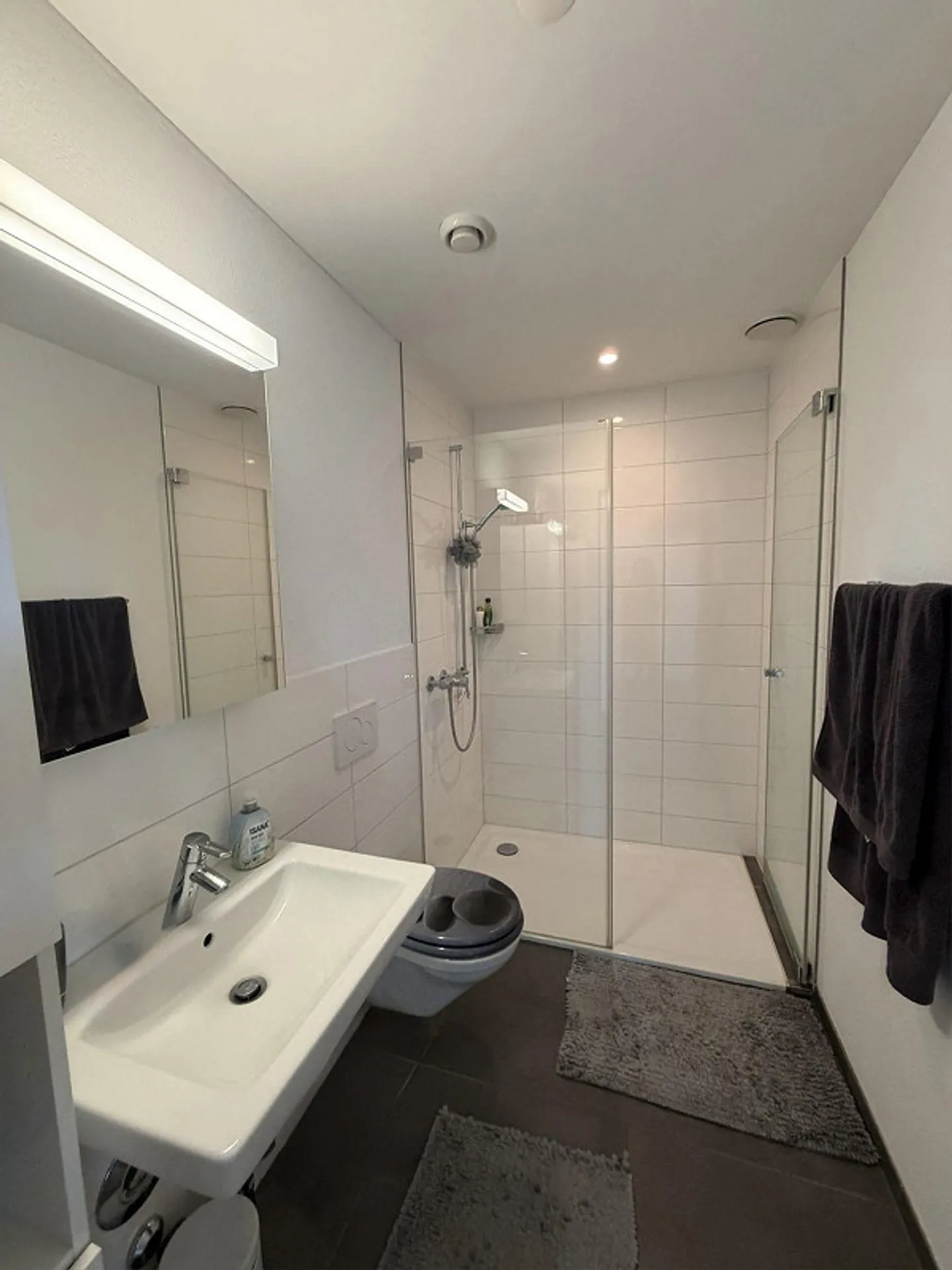 2.5 Room Apartment in Effretikon - Photo 3 of 7