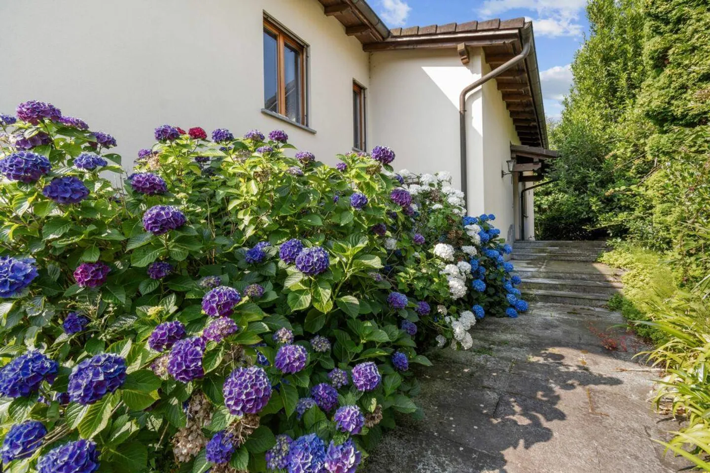 Villa indépendante avec grand jardin privé - Photo 7 sur 19