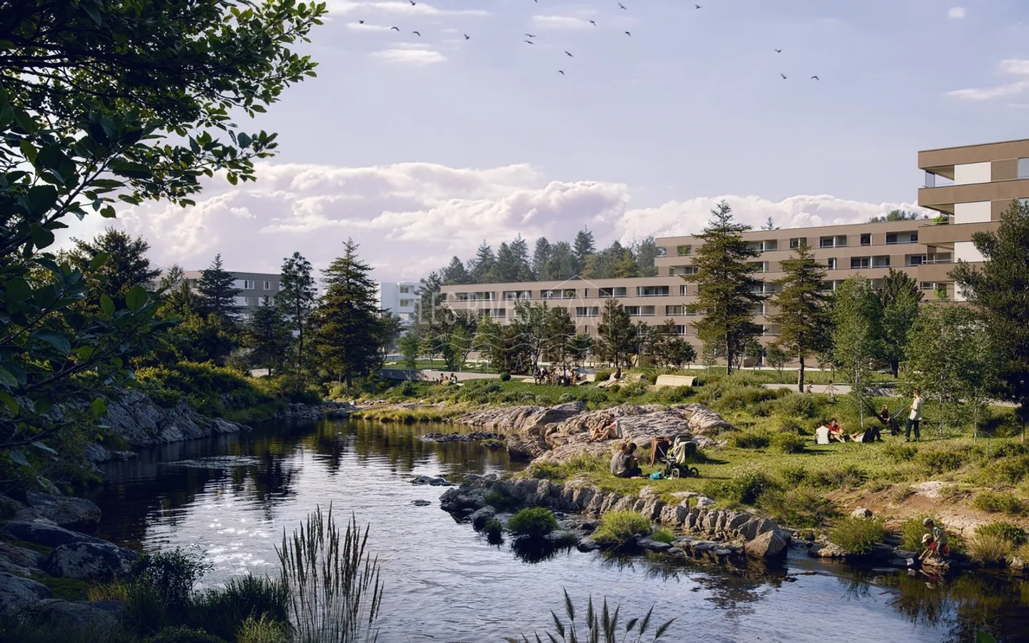 New 2.5 Room Apartment - Photo 6 of 11