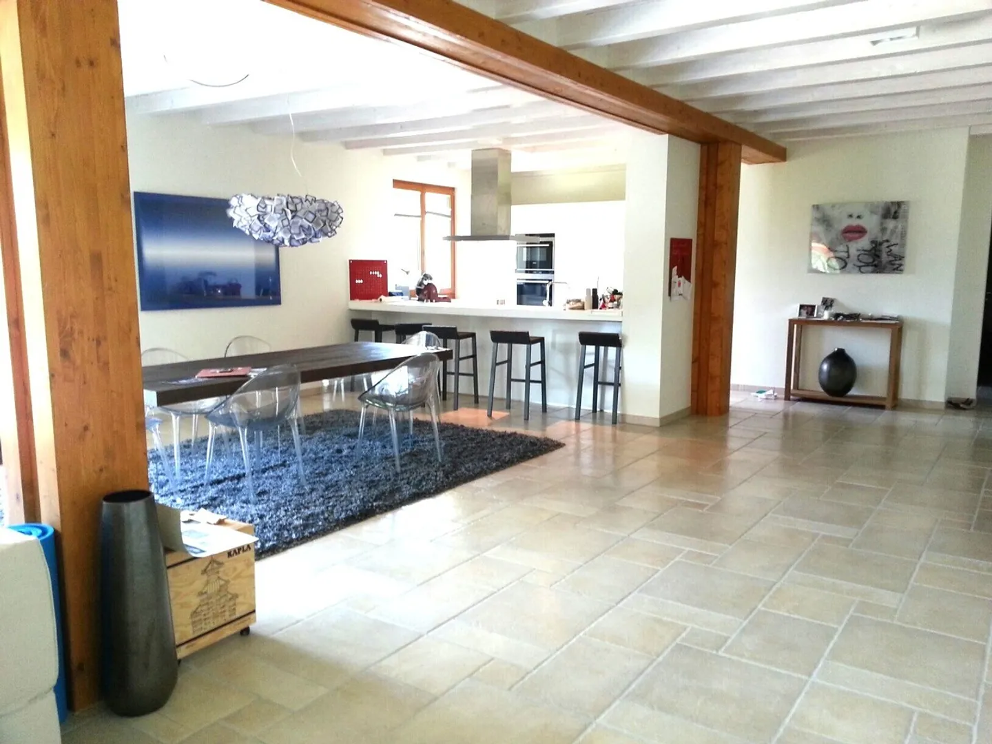 Magnifico appartamento di 6 stanze con camino a Cartigny. - Foto 1 di 5