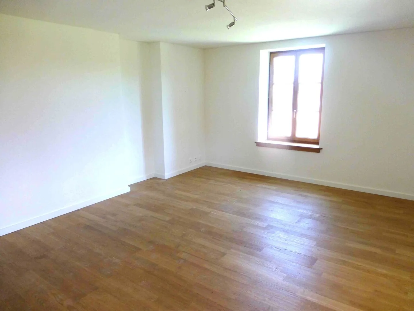 Magnifico appartamento di 6 stanze con camino a Cartigny. - Foto 4 di 5