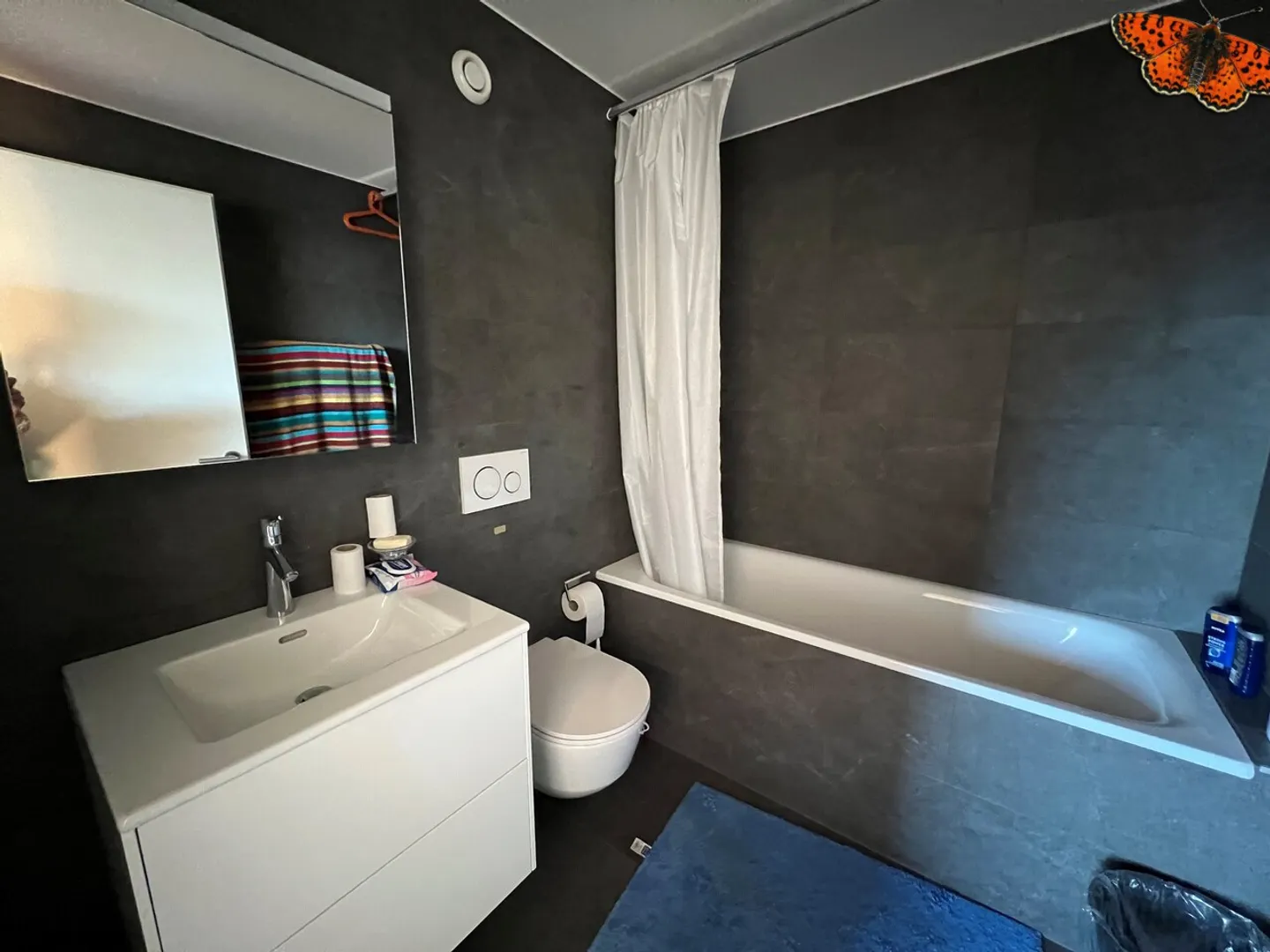 Charmante 2½ Zimmer Wohnung - Foto 5 von 7