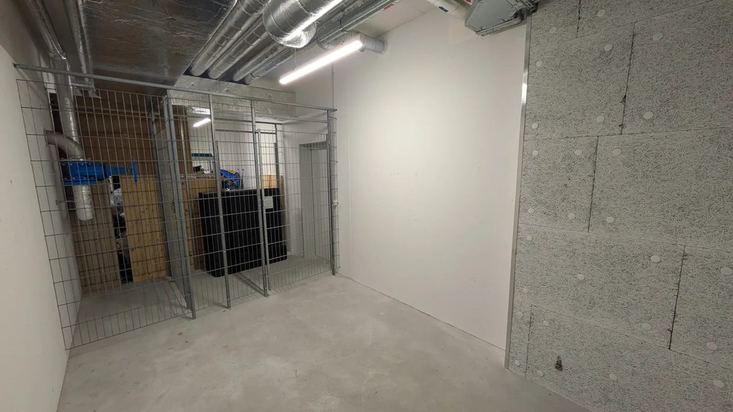 10.9m2 Storage Room Winterthur - Else-Züblin-Strasse 76 - Photo 6 of 10