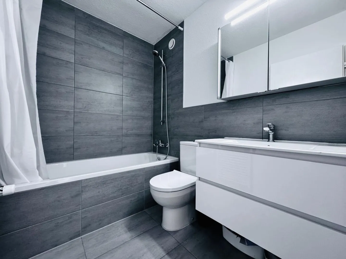 Appartamento di 5,5 stanze modernizzato con balcone e grande box garage in posizione ottimale - Foto 3 di 19