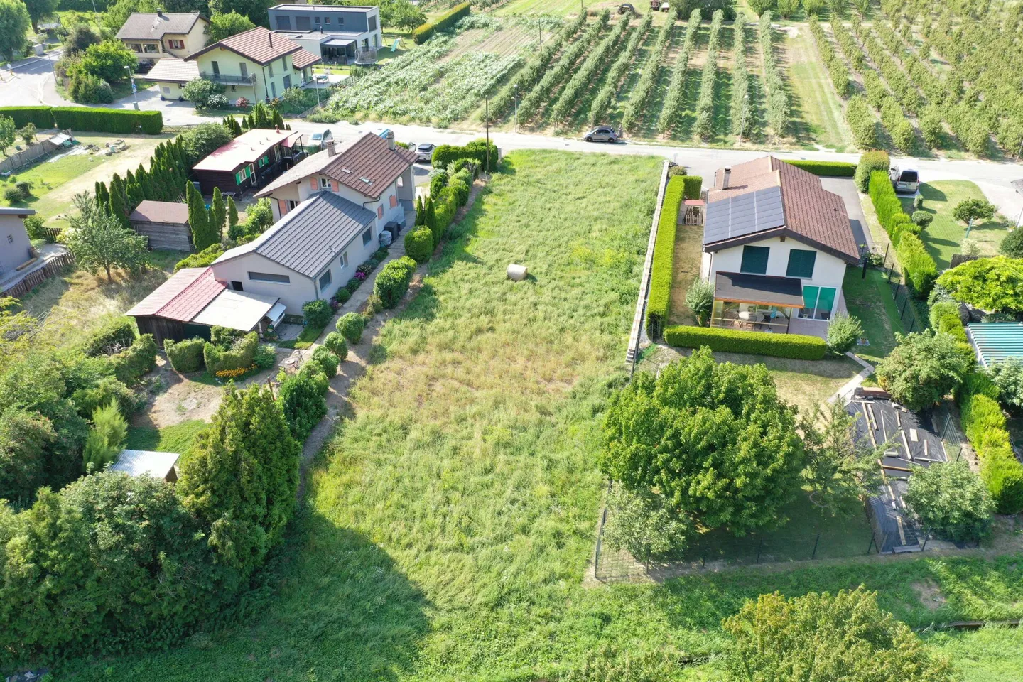 Grande offerta a Botza - Charrat - Foto 7 di 13