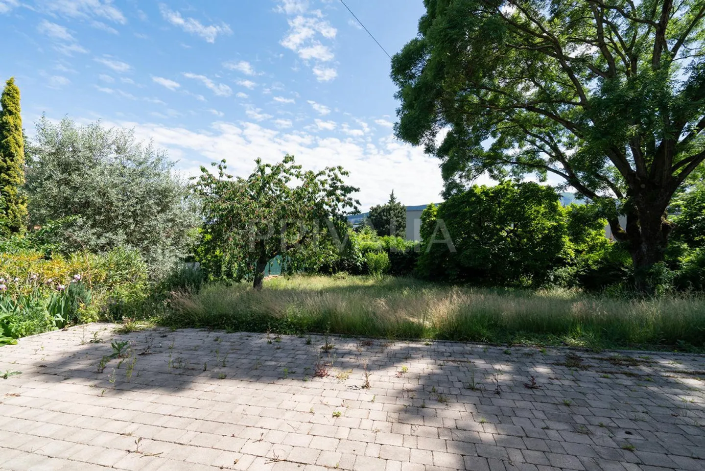 Charmante Villa avec Jardin à Thônex - Photo 6 sur 7