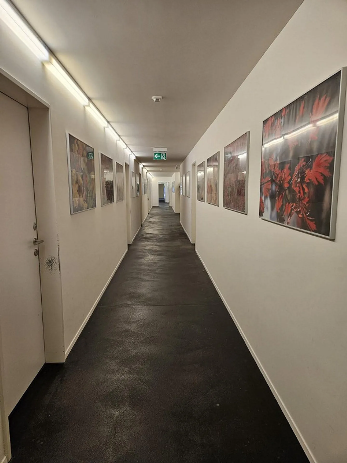 Spazi commerciali flessibili in posizione privilegiata, vicino al centro di Grenchen - Foto 5 di 9