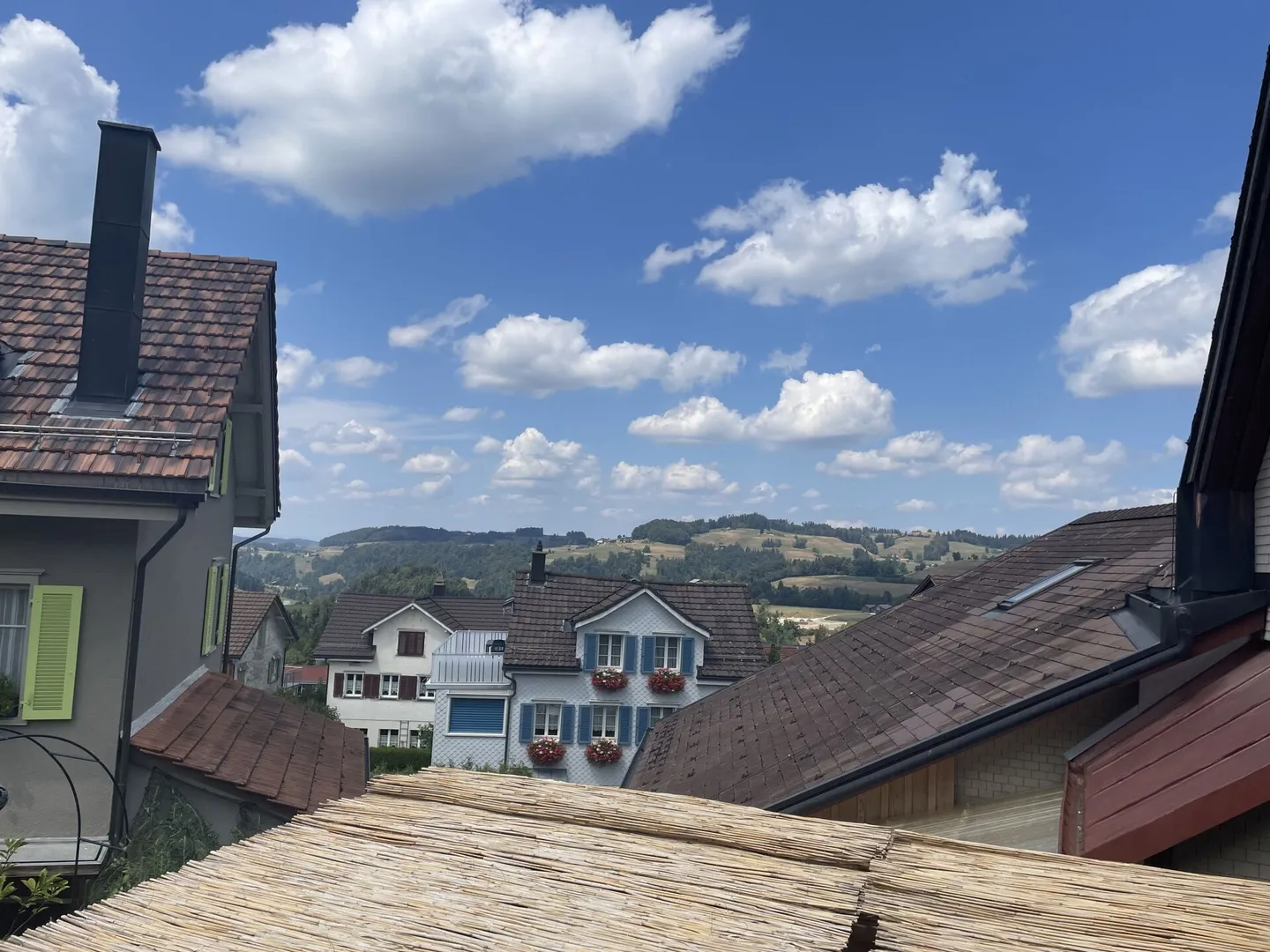 Appartamento 3½ stanze completamente ristrutturato e stiloso nel centro di Mogelsberg - Foto 8 di 8