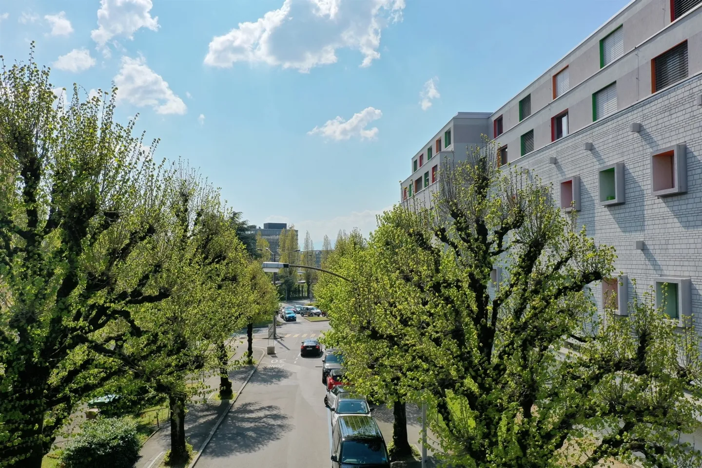 A furnished studio - Good offer CHF 300.00 is being offered! - Photo 8 of 8