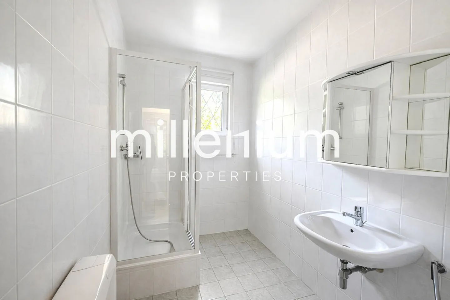 Beautiful Country House in the Heart of the Geneva Countryside - Photo 11 of 12