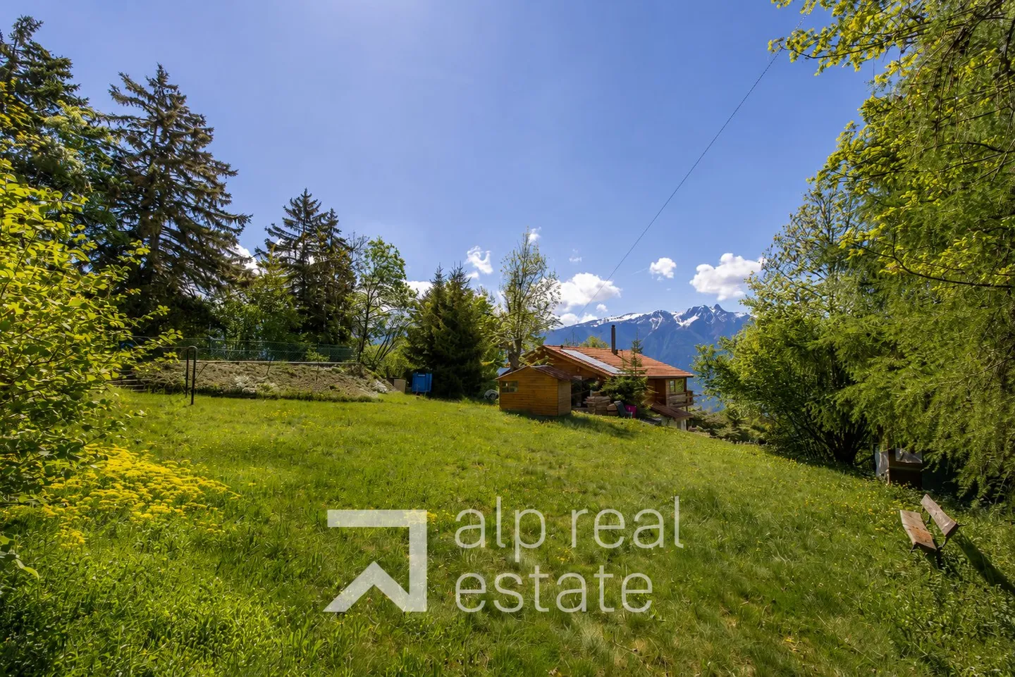 Charming Plot for Mountain Chalet - Photo 3 of 5