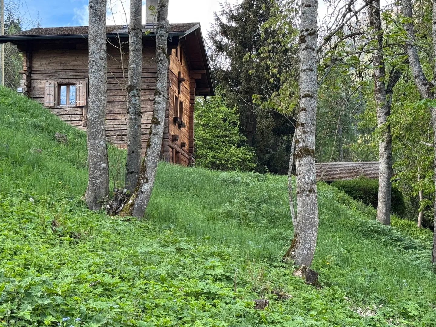 Chalet and small raccard - Euseigne (Val d'Hérens) - EXCLUSIVE - Photo 7 of 13
