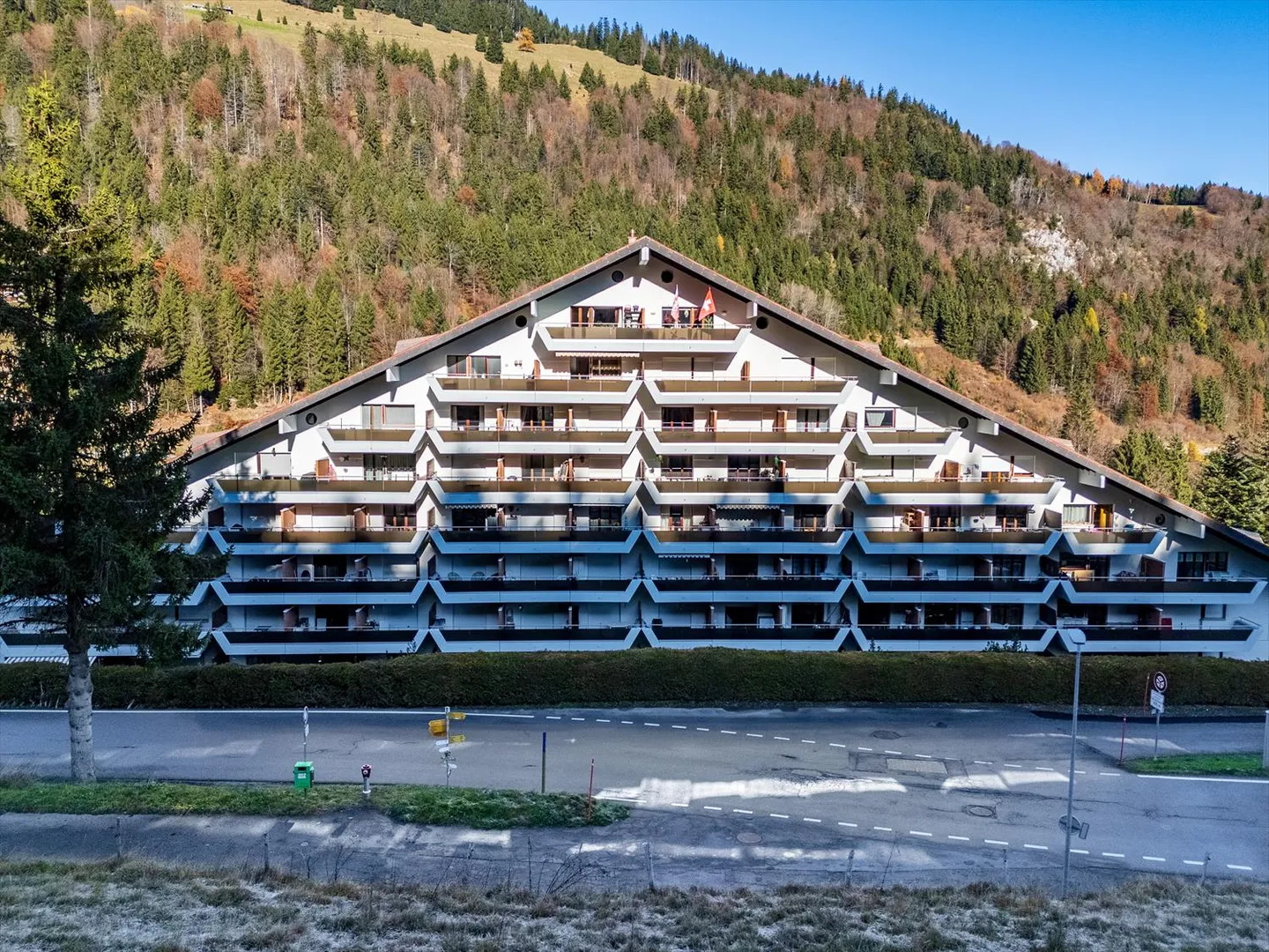 Fully furnished 2.5 room apartment - Photo 1 of 11