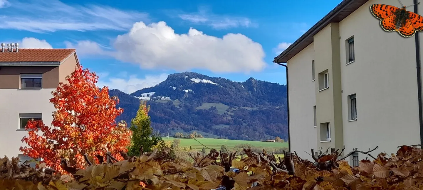 Charmante Wohnung in Marsens - Foto 1 von 7