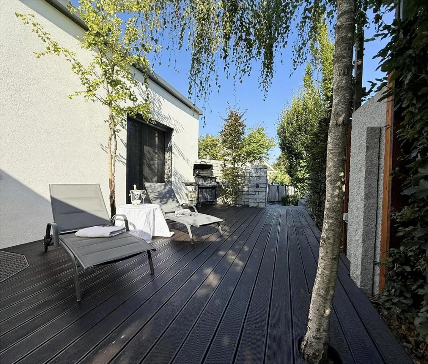 Casa unifamiliare moderna con garage e camino a Rheinfelden - Foto 2 di 19