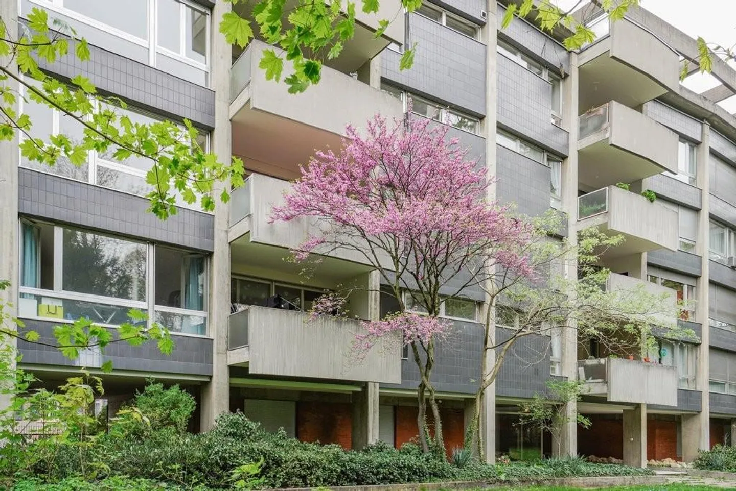 Ihr neues stadtnahes Zuhause im ruhigen St. Alban Quartier - Photo 1 sur 12