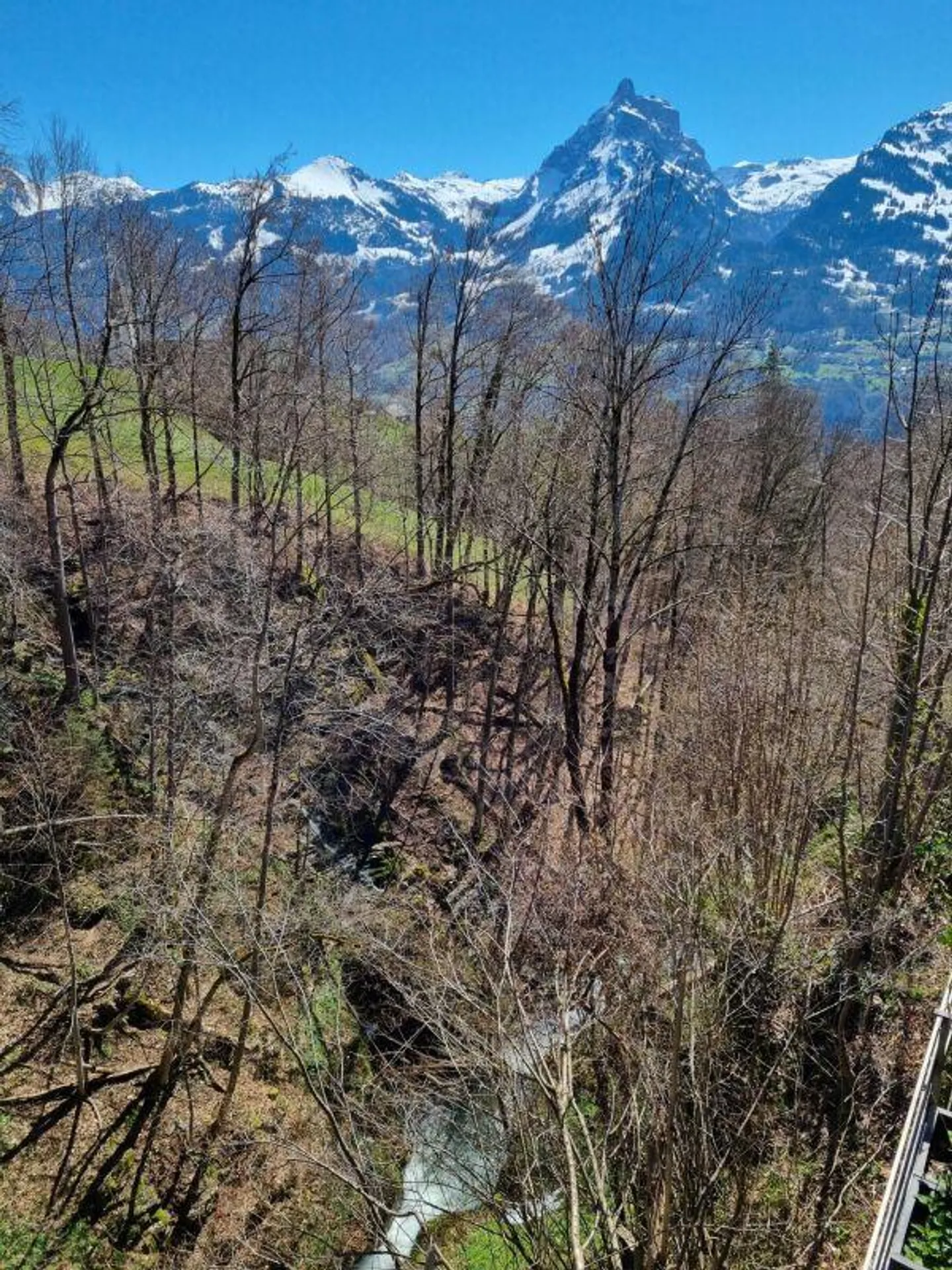 Natura, tranquillità e potenziale combinati - La tua nuova casa ad Amden - Foto 5 di 5