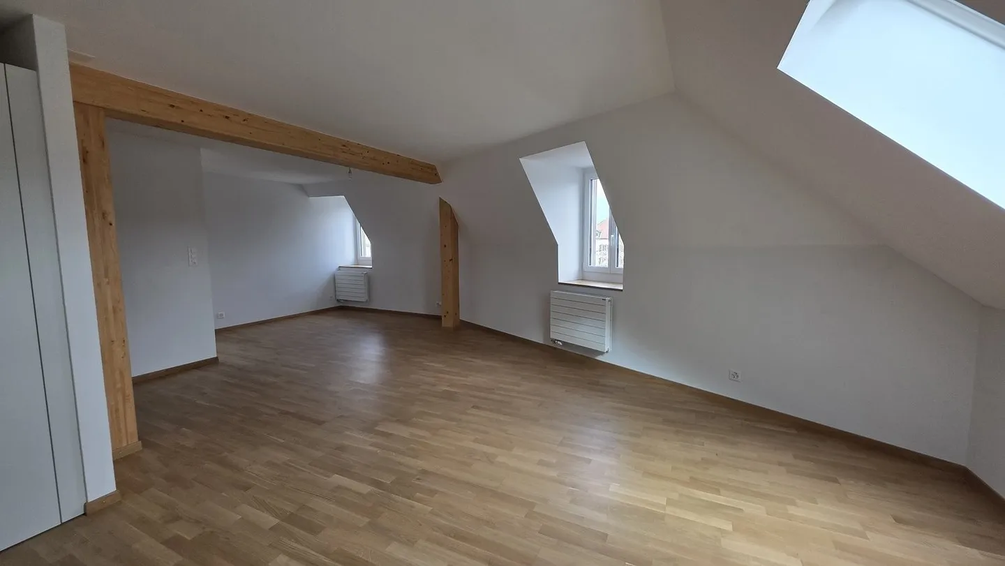 MAGNIFIQUE NOUVEL APPARTEMENT EN PENTHOUSE - Photo 3 sur 9