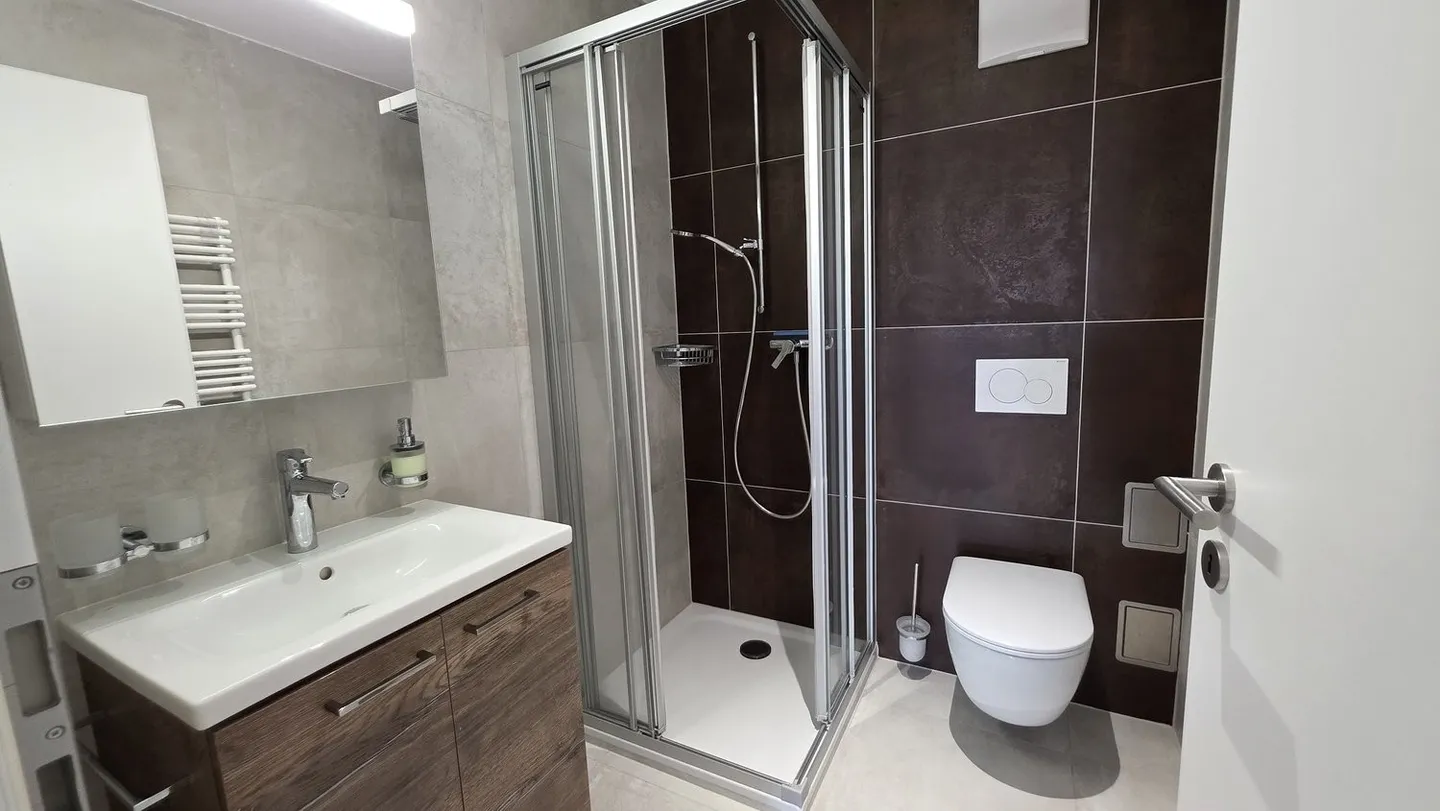 MAGNIFIQUE NOUVEL APPARTEMENT EN PENTHOUSE - Photo 6 sur 9