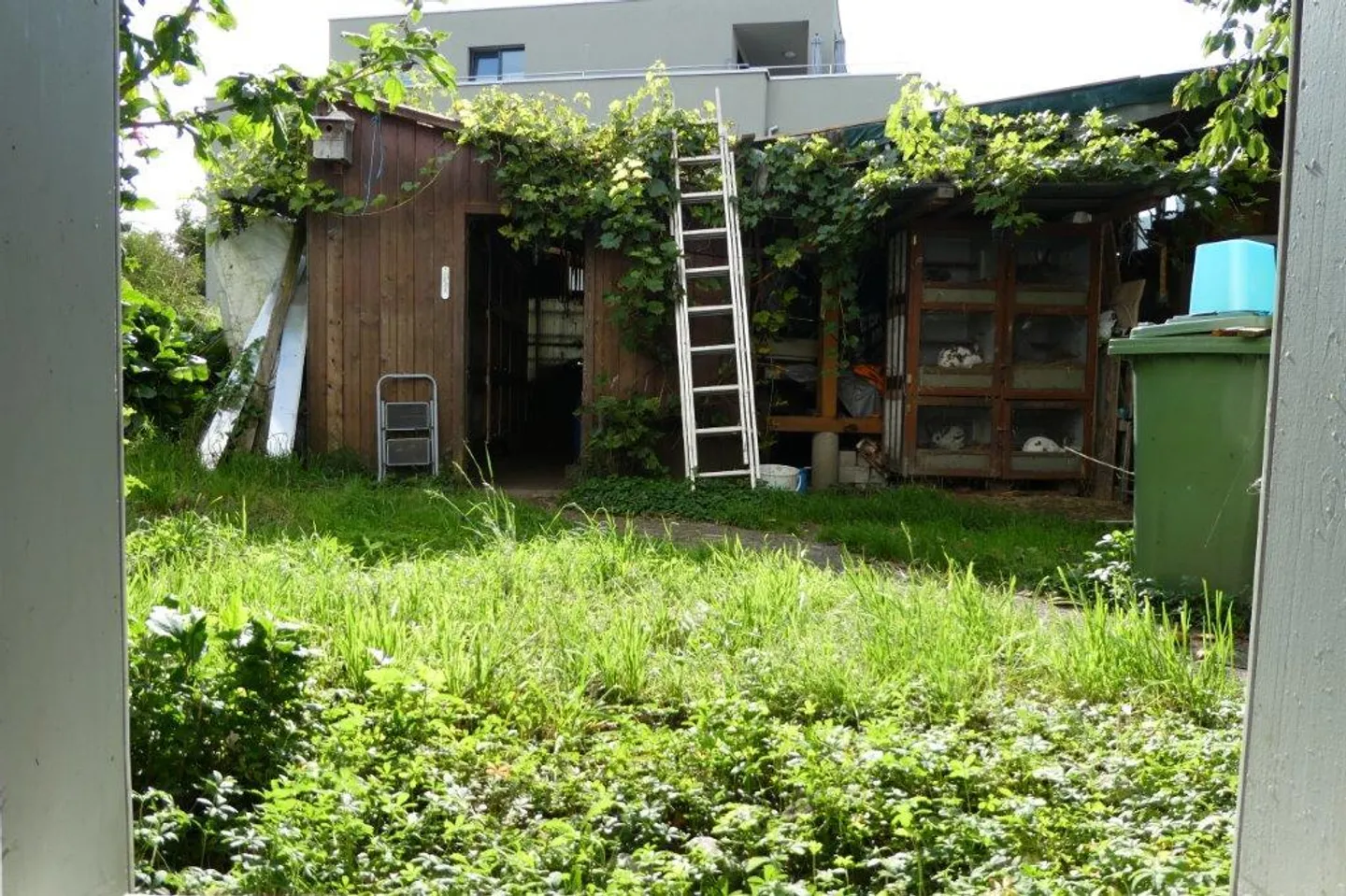 1 1/2 Zimmer Wohnung in Widnau ab sofort zu vermieten - Foto 8 von 9