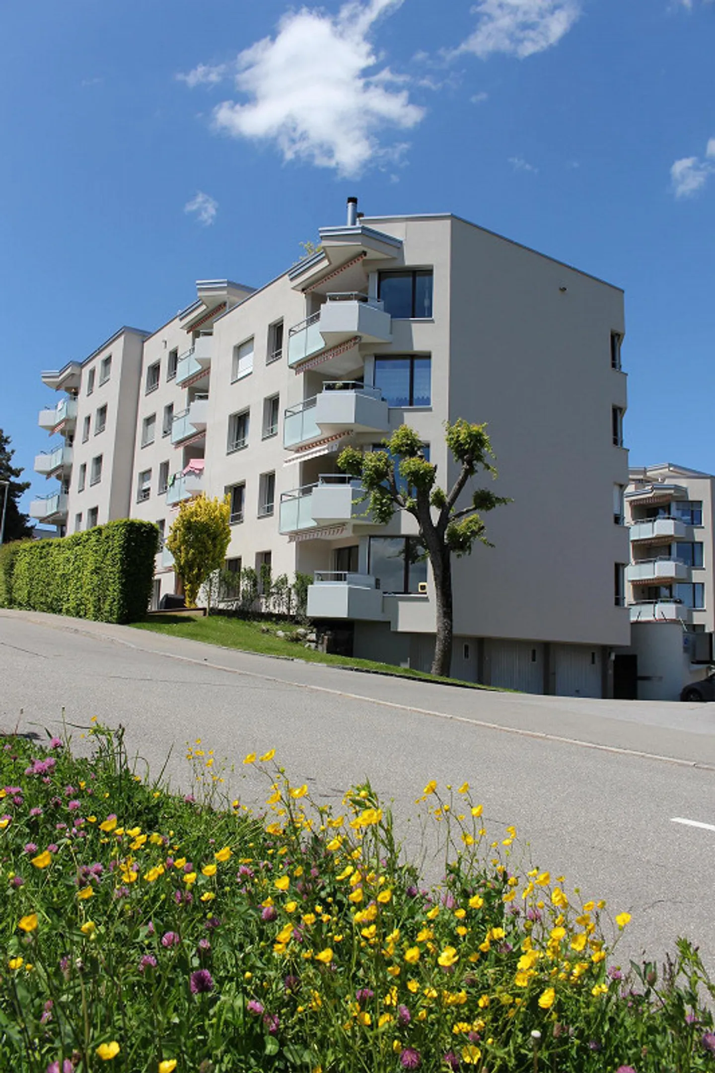 Luminoso appartamento con giardino di 4.5 locali con vista sul Säntis - Foto 1 di 23