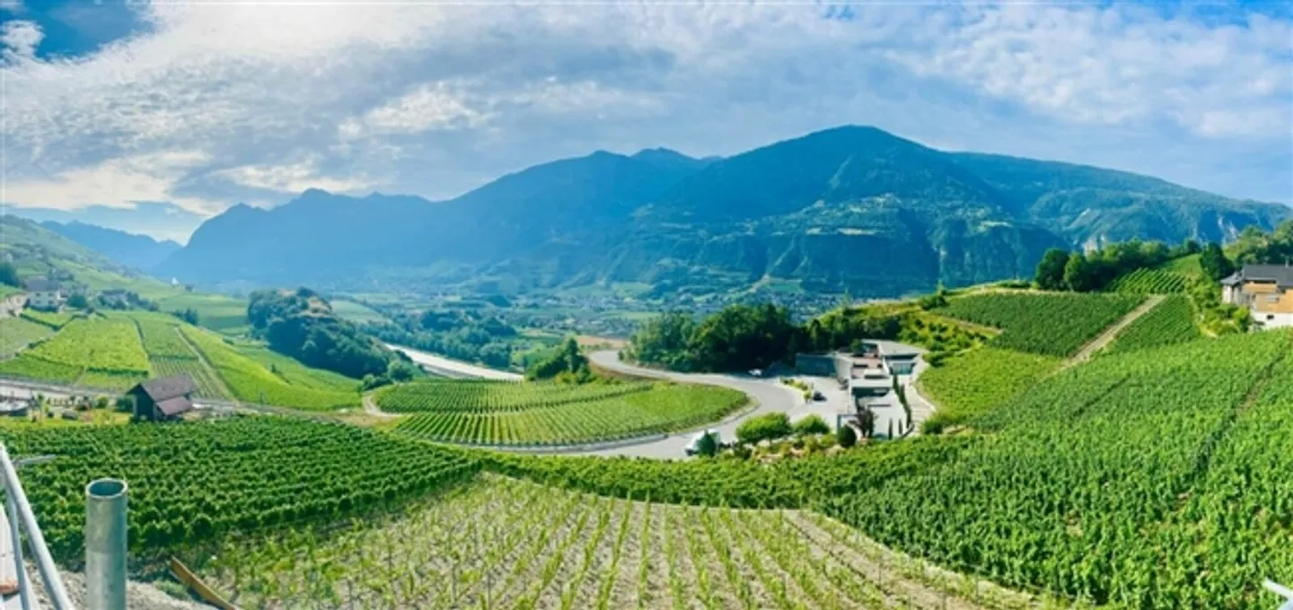 4.5-room apartment in Flanthey - Photo 2 of 20