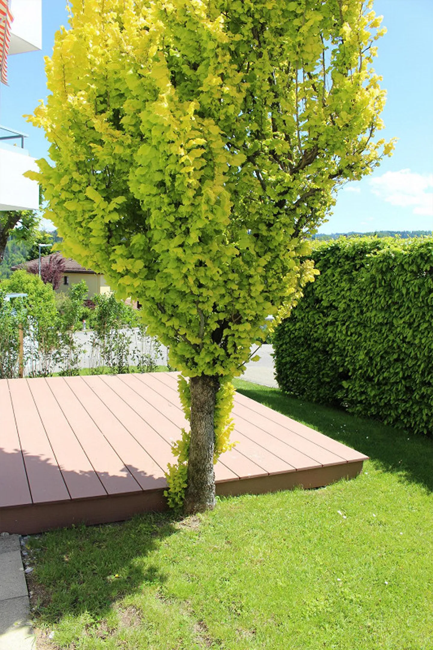 Luminoso appartamento con giardino di 4.5 locali con vista sul Säntis - Foto 19 di 23