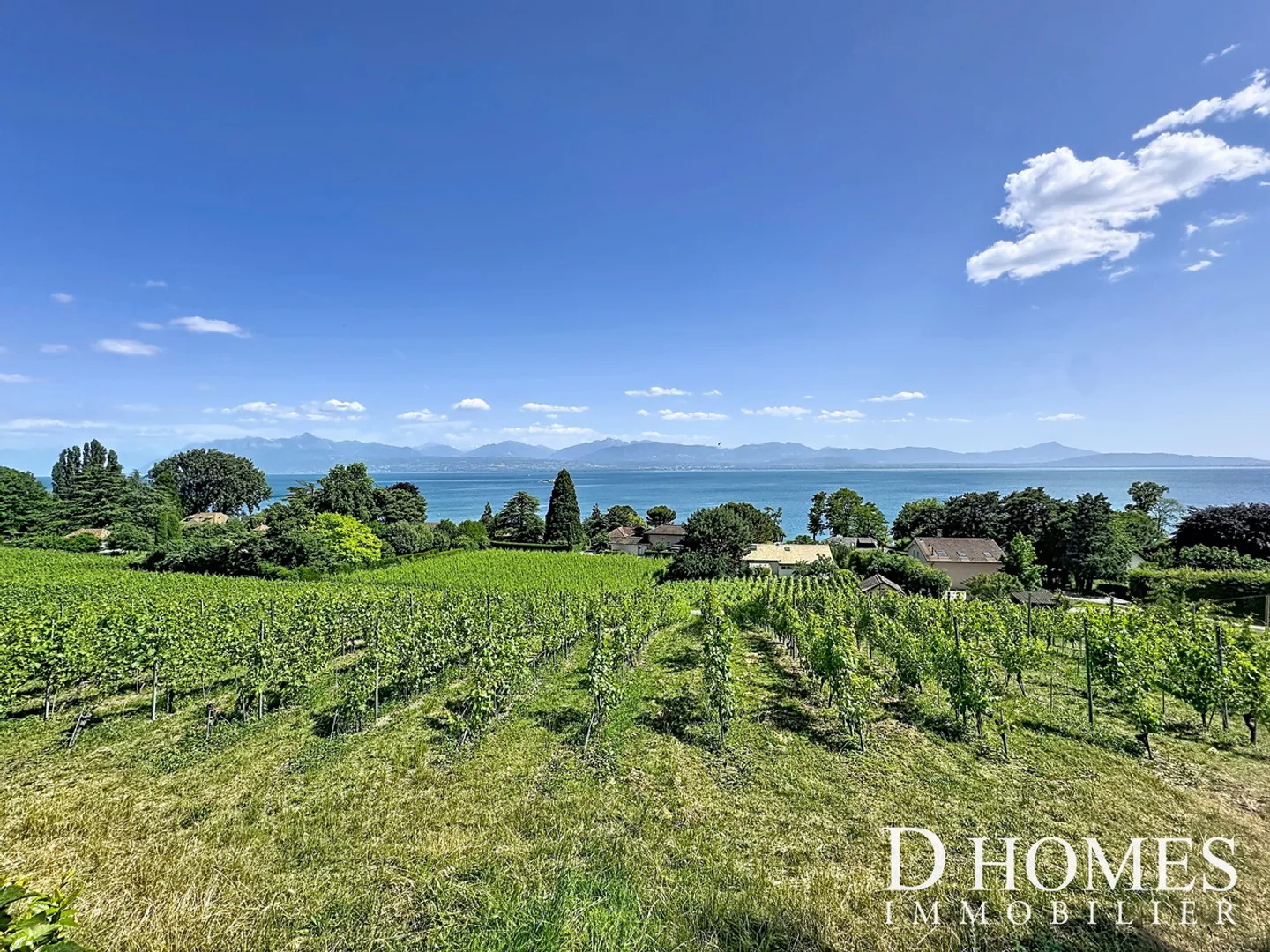 Maison Familiale Élégante avec Vue sur le Lac - Photo 16 sur 22