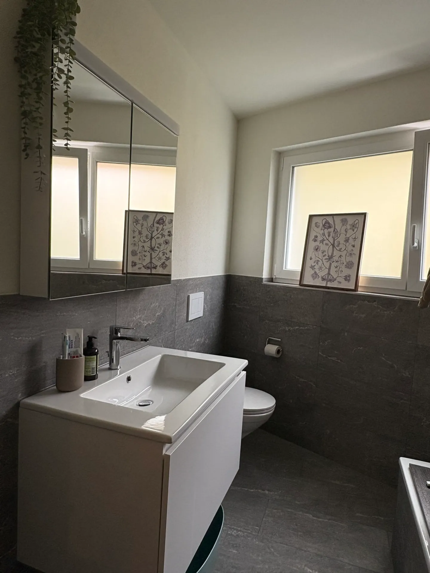 Exclusive 3.5-room apartment on the 4th floor with lake view - Photo 5 of 9