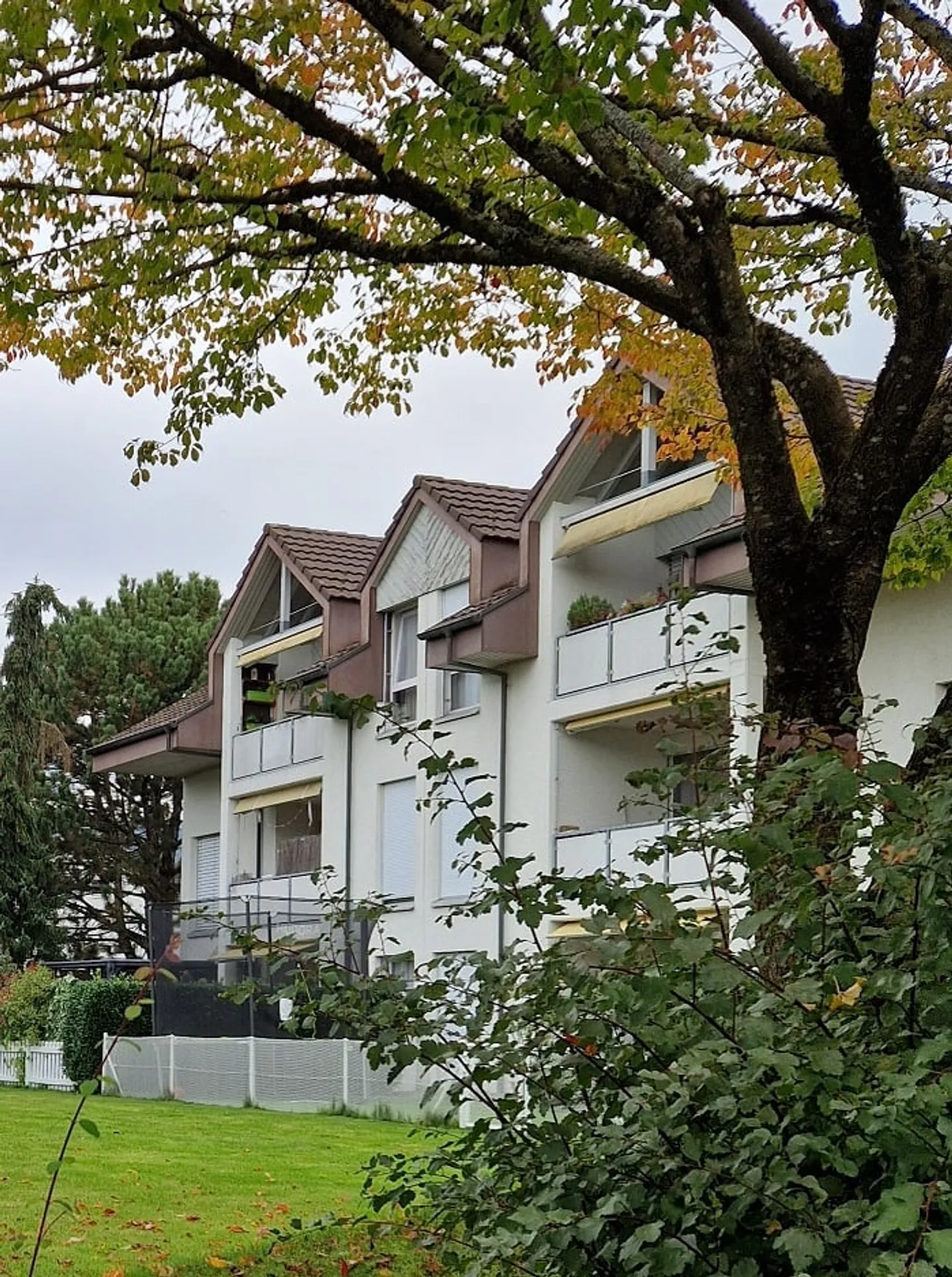 Charmante Wohnung in Safnern - Foto 2 von 19