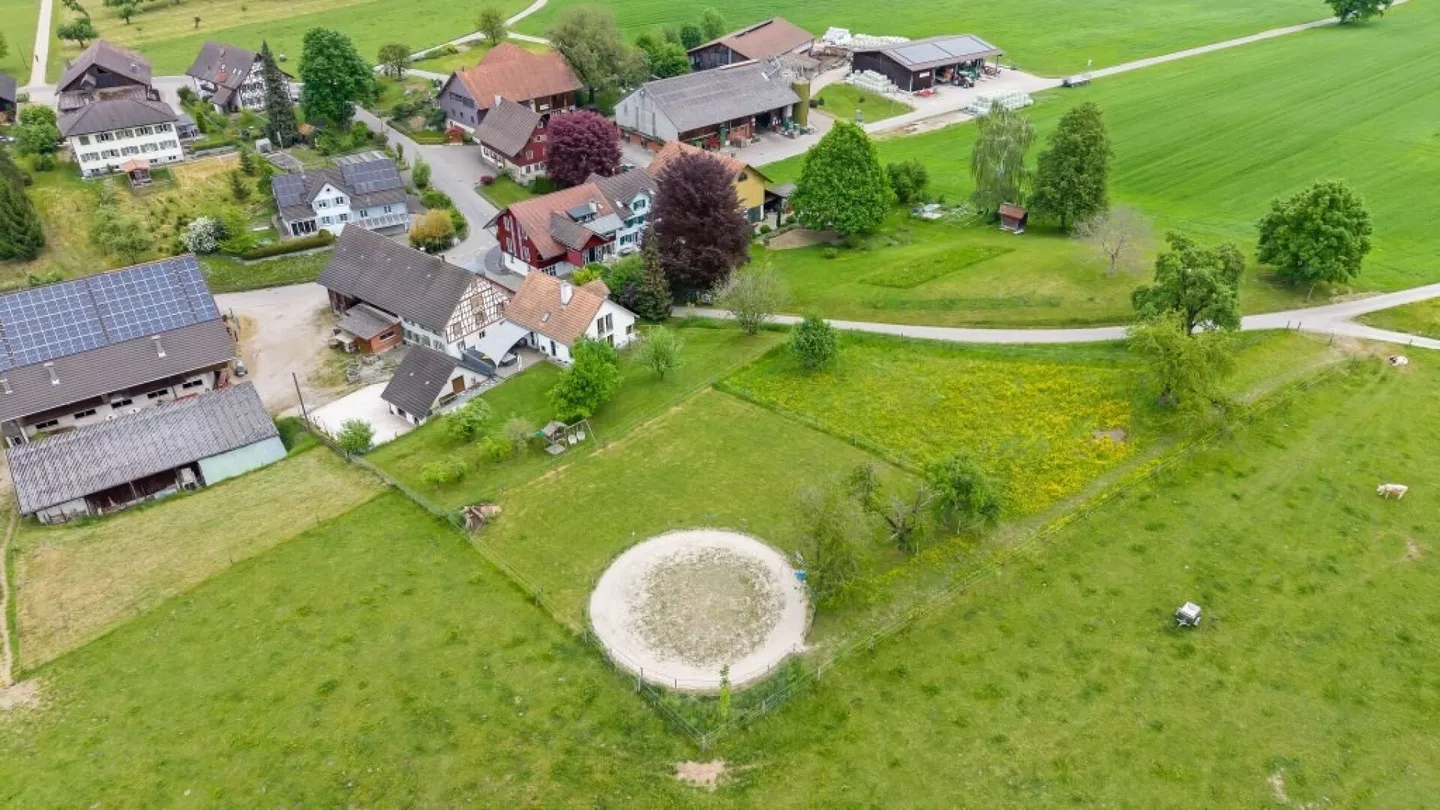Bijou - Paradis des chevaux ! Maison individuelle avec écurie - Photo 9 sur 29