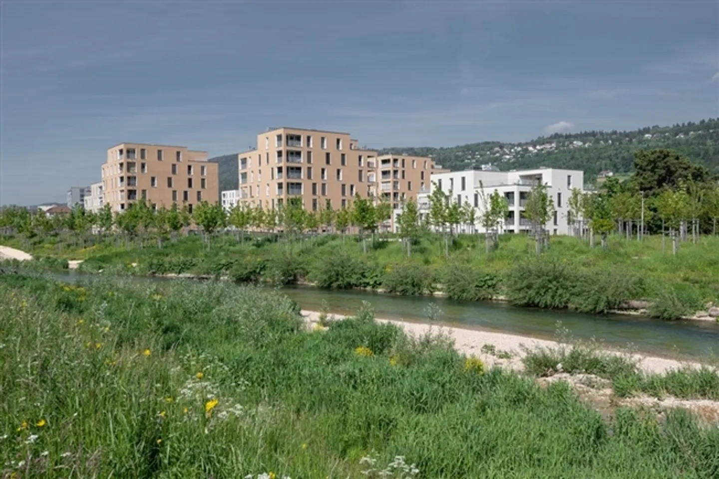 Appartement en attique 3.5 pièces avec deux terrasses sur l'île de Schüss de Bienne - Photo 11 sur 12