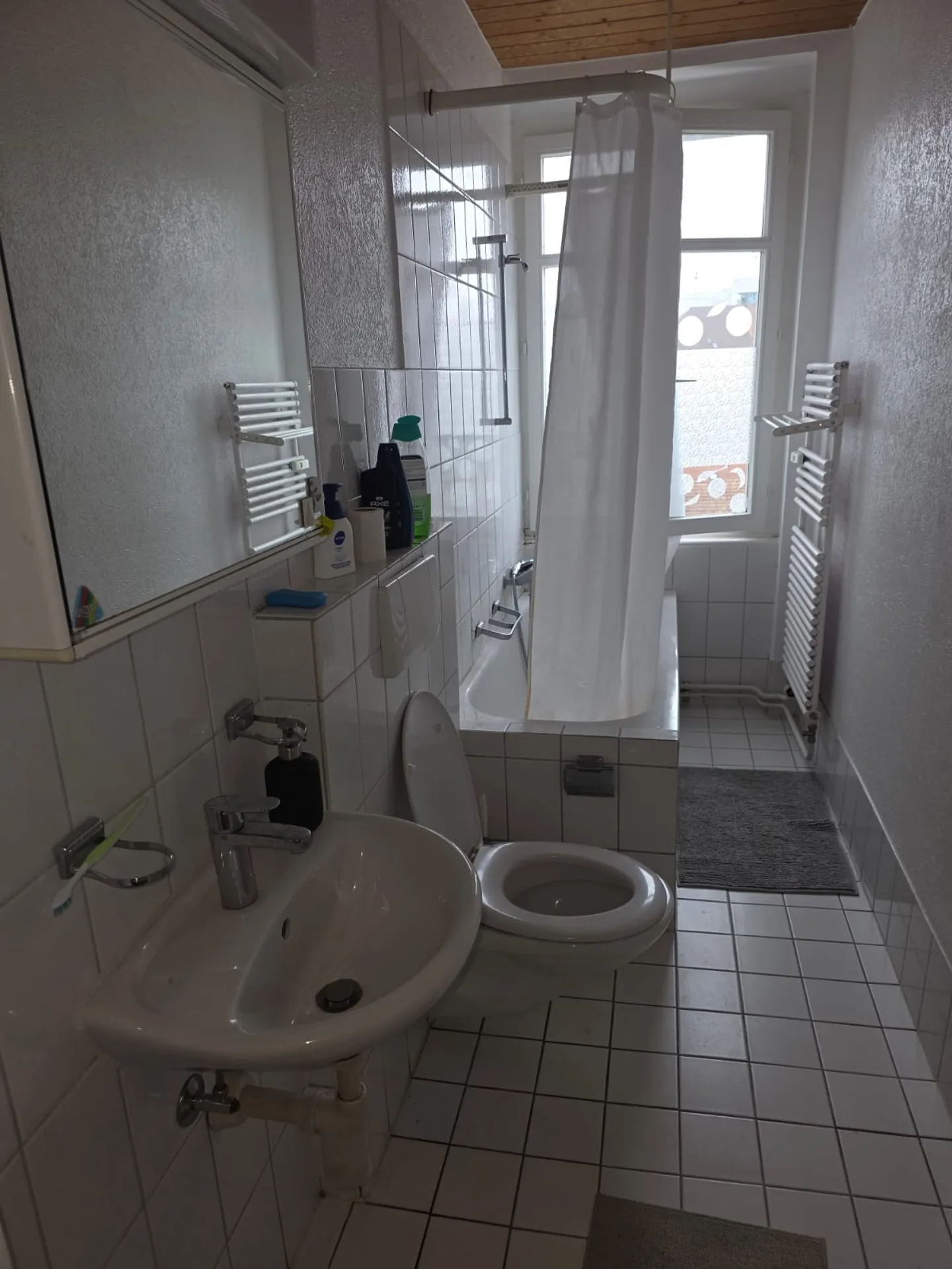 Casa multifamiliare elegante a Basilea - Foto 4 di 9